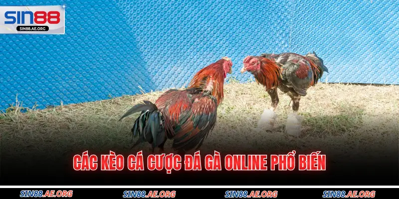 Các kèo cá cược đá gà online phổ biến