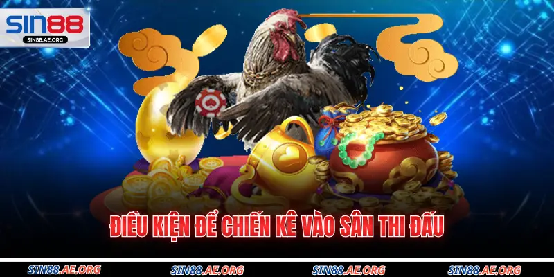 Điều kiện để chiến kê vào sân thi đấu