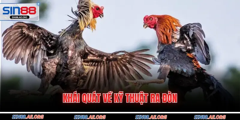 Khái quát về kỹ thuật ra đòn