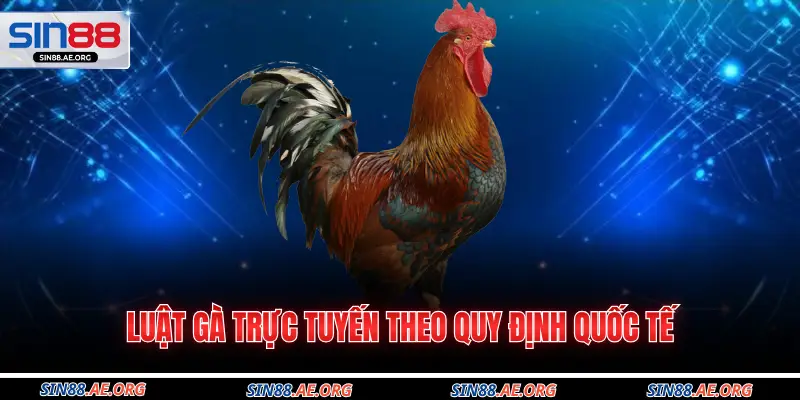 Luật gà trực tuyến theo quy định quốc tế