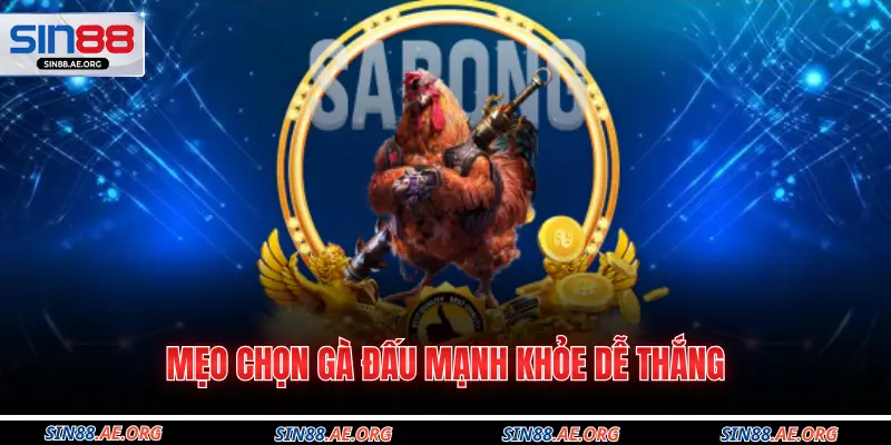 Mẹo chọn gà đấu mạnh khỏe dễ thắng