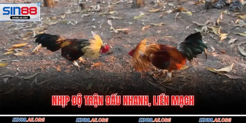 Nhịp độ trận đấu nhanh, liền mạch 
