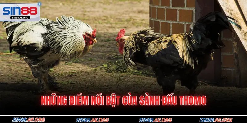 Những điểm nổi bật của sảnh đấu thomo